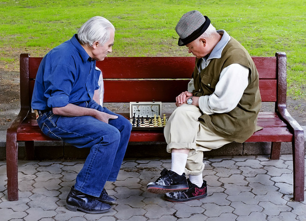 Older play chess on a bench - Zdjęcie, obraz