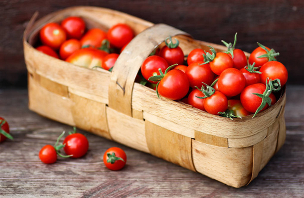 cosecha de la cesta tomate fresco
 - Foto, Imagen