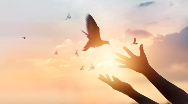 Женщина молится и освобождает птиц, летящих на фоне заката
 - Фото, изображение