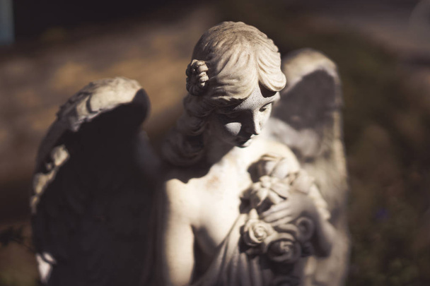 Statue d'un ange ailé dans l'obscurité
. - Photo, image