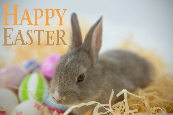 easter eggs with easter bunny in nest - Φωτογραφία, εικόνα