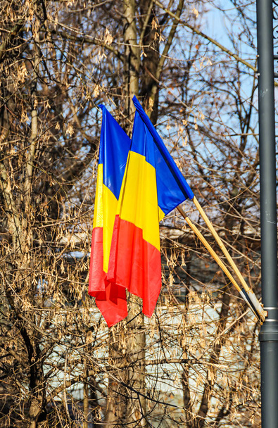Rumuński flaga w błękitne niebo słońce, Narodowego dnia Rumunii, - Zdjęcie, obraz