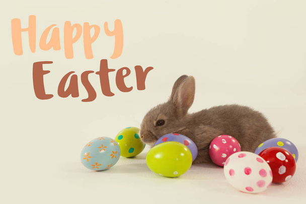 easter eggs and easter bunny - Φωτογραφία, εικόνα
