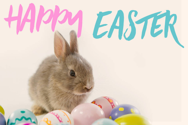 easter eggs with cute easter bunny - Фото, зображення