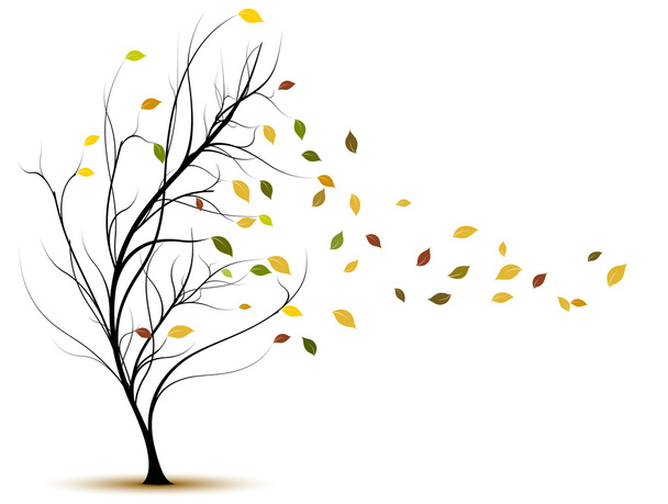 Vector tree in autumn - Vector, Image