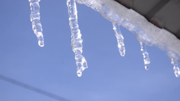 csöpögő jégcsapok, olvadó jég, jégcsap lógott a tető - Felvétel, videó