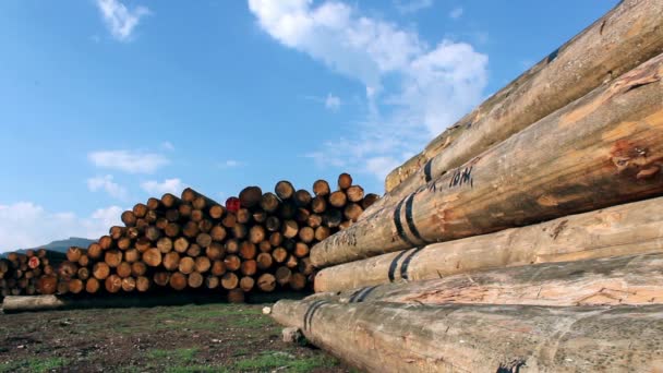 Registos de madeira no depósito
 - Filmagem, Vídeo