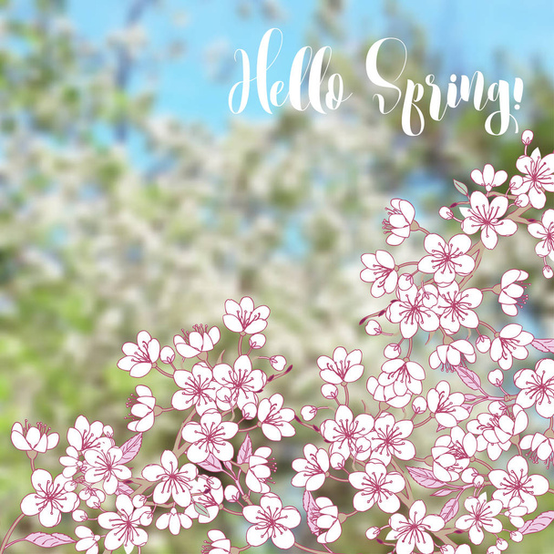 Fondo de primavera con sakura
 - Vector, Imagen