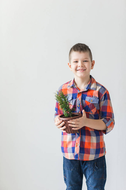 Happy child on white background with pot of plant - Фото, изображение