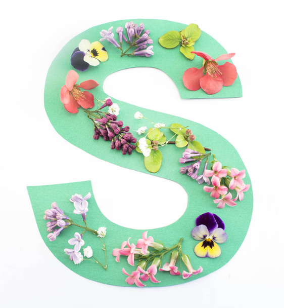 Buchstaben s aus Frühlingsblumen und Papier - Foto, Bild
