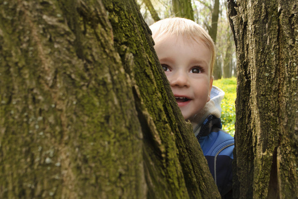 Uśmiechający się mały chłopiec, ukrywanie i zaglądając zza drzewa - Zdjęcie, obraz