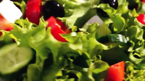 vegetable salad with cheese - Footage, Video