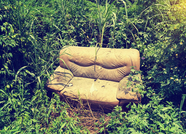 диван покинутий на траві
 - Фото, зображення