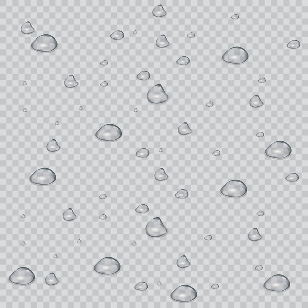 Pure clear water drops realistic set isolated vector illustration - Vector, Image