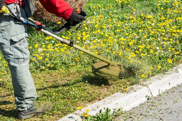 trabalhador com cortador de grama ferramenta elétrica
  - Foto, Imagem