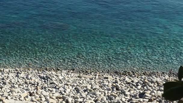 Átlátszó partszakaszán tengerre és a fehér kövek a parton, az Elba-sziget, Olaszország, 4k - Felvétel, videó