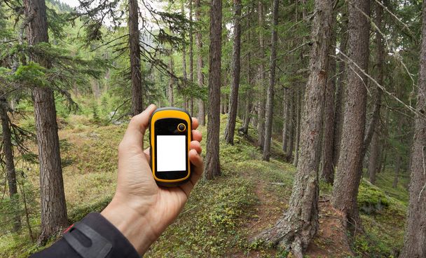 finding the right position in the forest via gps - Photo, Image