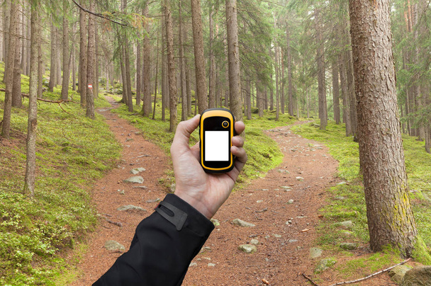 GPS 'le ormanda doğru yeri bulmak. - Fotoğraf, Görsel