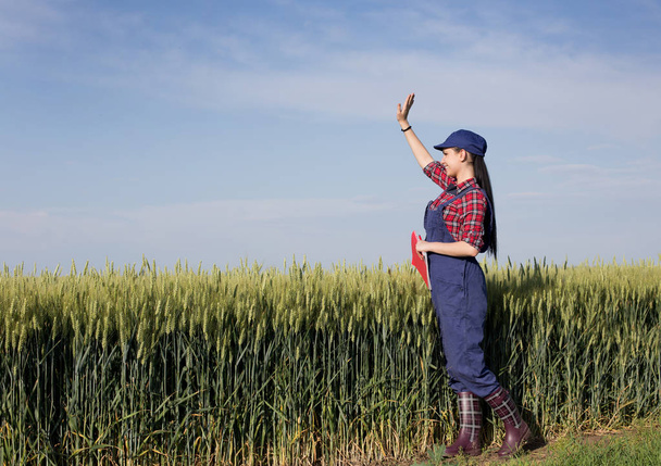 Farmer girl in wheat field - Photo, Image