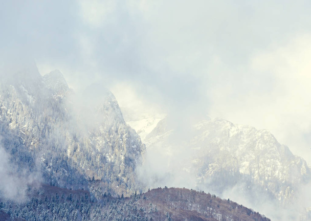 Pasmo górskie Karpat z sosnowego lasu i mgła, czas zimowy - Zdjęcie, obraz