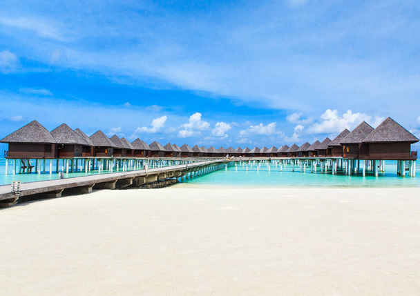 tropická pláž na Maledivách - Fotografie, Obrázek