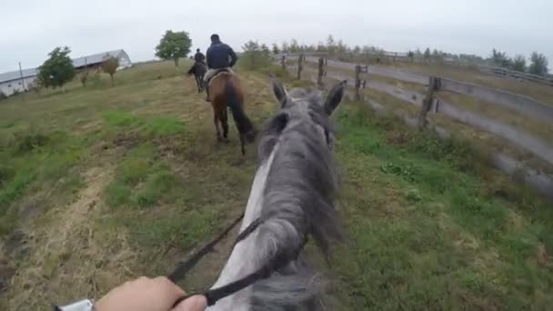 Eerste persoonsmening voor het berijden van een paard. Oogpunt van rider wandelen op hengst op aard. Beweging van de POV. Close-up - Video