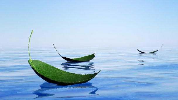 Hojas verdes flotando en el agua
 - Foto, Imagen