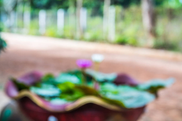 Розмитий горщик з квітів Лотоса для фону
 - Фото, зображення