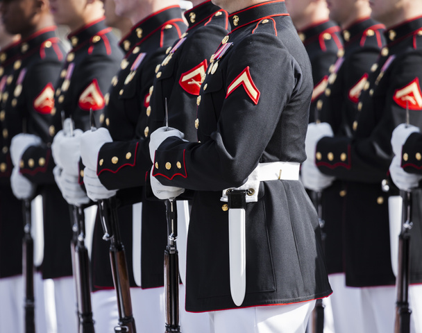 Cuerpo de Marines de los Estados Unidos
 - Foto, imagen
