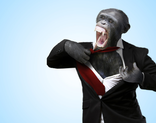 Ärtynyt apina huutaa
 - Valokuva, kuva