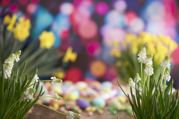 Easter theme, eggs and flowers. - 写真・画像