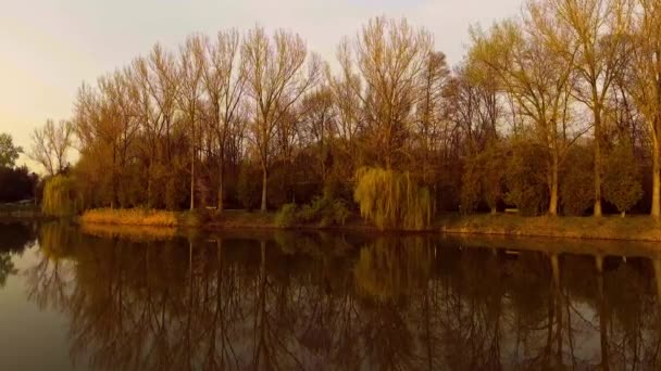 Jezioro z drzewa wierzby o zachodzie słońca - Materiał filmowy, wideo