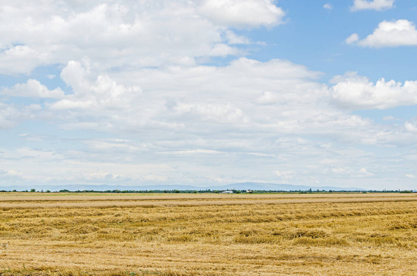 Countryside field, meadow, blue clouds sky, plowed field, outdoor - Foto, imagen