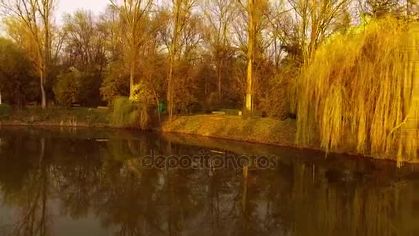 Λίμνη με ιτιά δέντρο στο ηλιοβασίλεμα - Πλάνα, βίντεο
