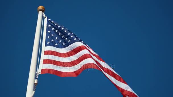 Video van de Verenigde Staten vlag in 4k - Video