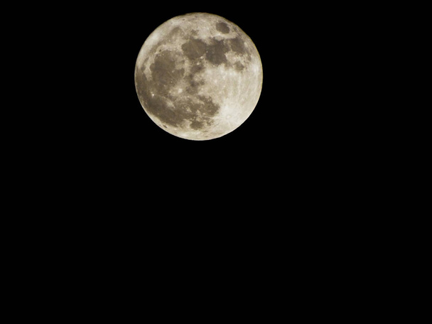 Super full moon - Zdjęcie, obraz