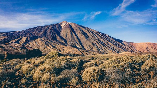 Teide National Park, Tenerife, Canary Islands, Spain.  volcano T - Φωτογραφία, εικόνα