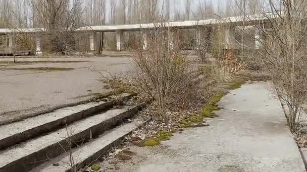Exclusion Zone. The central square of Pripyat is overgrown with bushes and trees. 6 April 2017 - Video