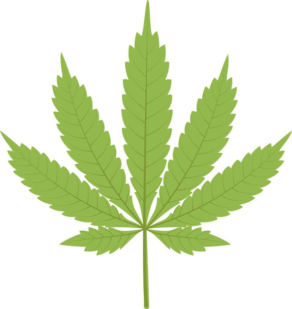 leafm marihuany - vektorové ilustrace - Vektor, obrázek