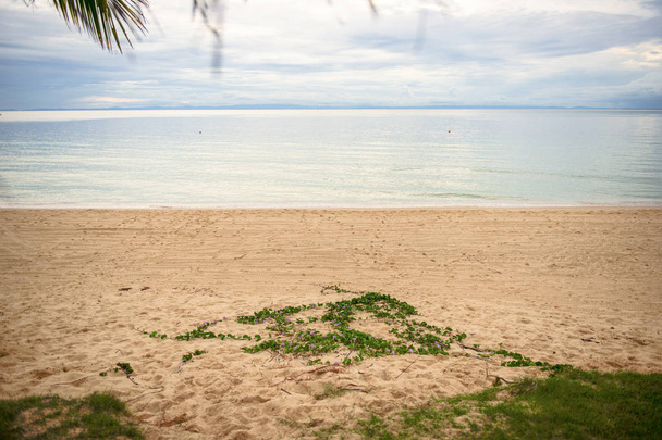 Playa Isla Tangalooma en Moreton Bay
.  - Foto, Imagen