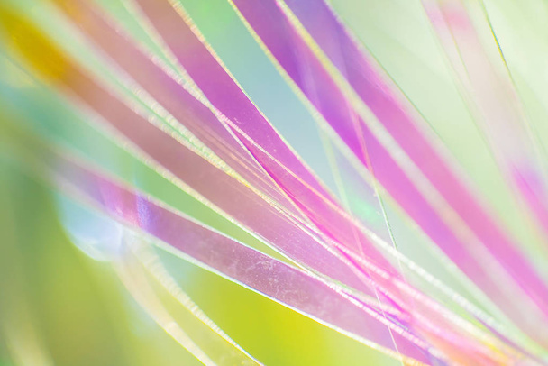 Colorful miracle texture - Фото, зображення