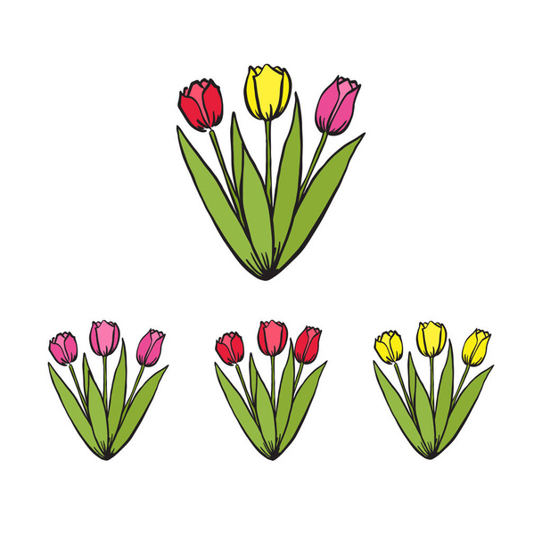 Hand getrokken reeks van kleurrijke tulpen. - Vector, afbeelding