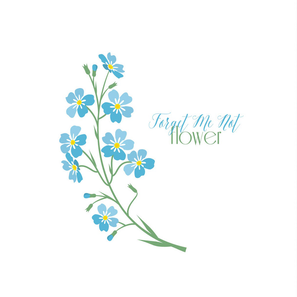 Vector blue forget me not flowers - Vector, Image