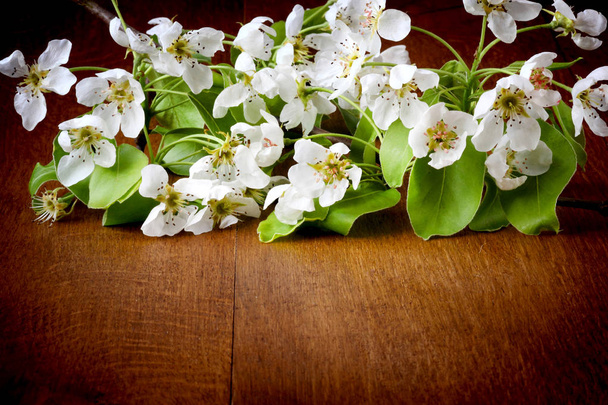 jabloňové květy na dřevěné pozadí - Fotografie, Obrázek