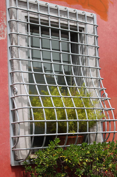 Window with flowers and grate - Photo, Image