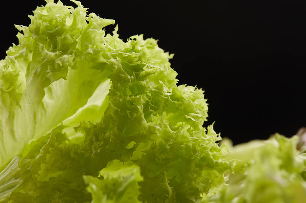 Fresh lettuce closeup - Foto, Imagen