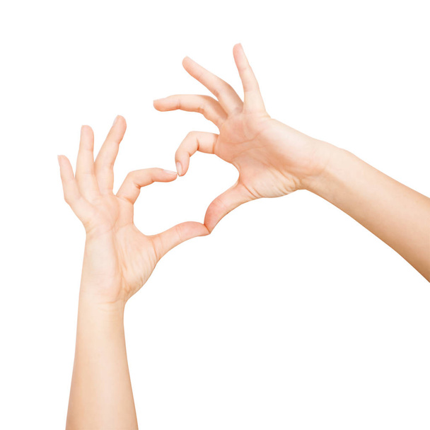 Las manos de las mujeres muestran forma de corazón en fondos blancos
 - Foto, Imagen