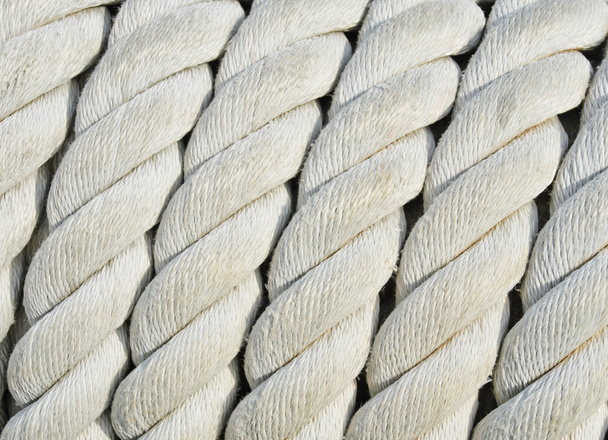 Twisted rope - Фото, изображение