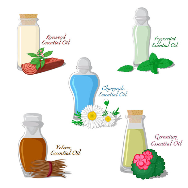 Illustration des huiles essentielles. Partie 2
 - Vecteur, image