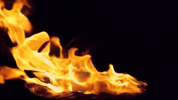 Lassú mozgás. Részletes tűz elszigetelt fekete full Hd - Felvétel, videó